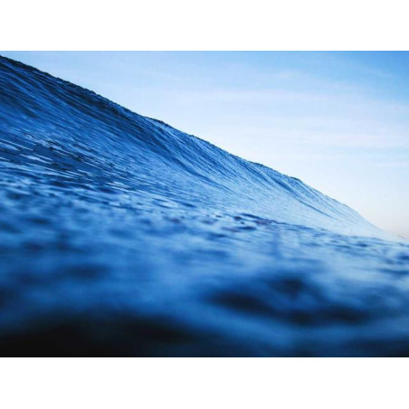Small Rubber Shirt pt-PT